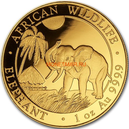  1000  2017   (Somali 1000 Shillings 2017 African Elephant 1 oz Gold)..0079579/1155E/60 ()