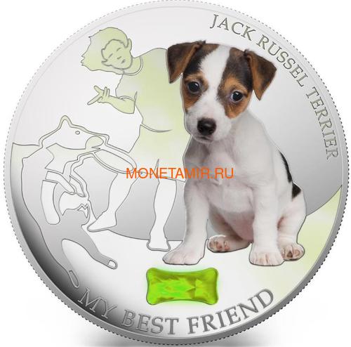 2  2013            (Fiji 2$ 2013 Dog My Best Friend Jack Russel Terrier Dogs and Cats)..000405648992/60 ()