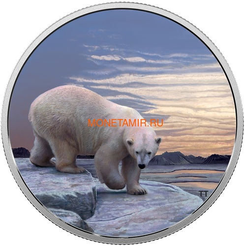 Канада 30 долларов 2018 Полярный Медведь серия Арктические животные и Северное сияние (Canada 30$ 2018 Glow-In-The-Dark Coin Arctic Animals and Northern Lights Polar Bear).Арт.60 (фото)