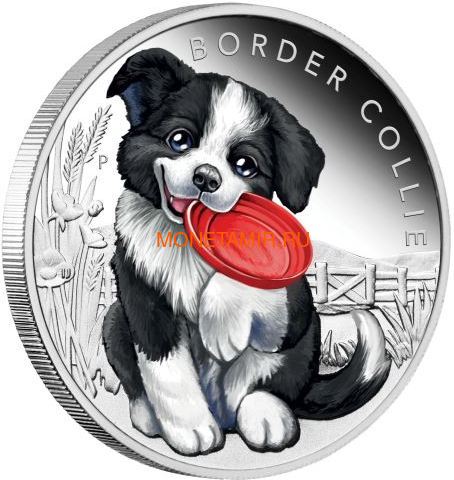  50  2018 -  (Tuvalu 50 cents 2018 Puppies Border Collie 1/2oz Silver)..000268056291/116 ()