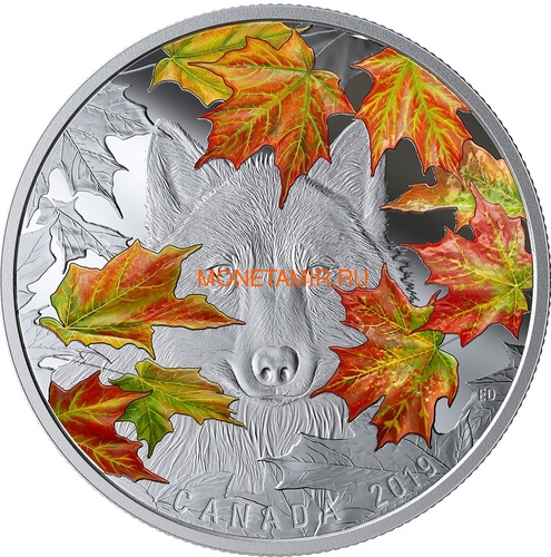 Канада 30 долларов 2019 Хитрый Волк (Canada 30$ 2019 Wily Wolf 2 Oz Silver Coin).Арт.67 (фото)