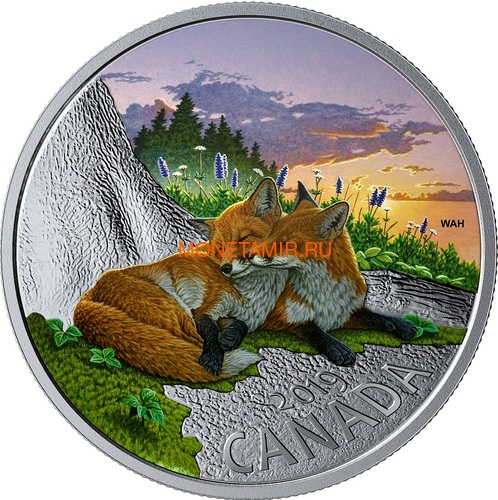 Канада 20 долларов 2019 Лиса Животные Канады (Canada 20$ 2019 Canadian Fauna The Fox Silver Coin).Арт.67 (фото)