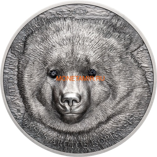 Монголия 500 Тугриков 2019 Гобийский Бурый Медведь Охрана Дикой Природы (Mongolia 500T 2019 Mongolian Gobi Bear Wildlife Protection 1oz Silver Coin).Арт.67 (фото)