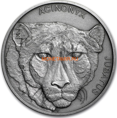 Ниуэ 1 доллар 2019 Гепард Животные Чемпионы (Niue 1$ 2019 Cheetah Animal Champions 1 oz Silver Coin) Буклет.Арт.67 (фото)