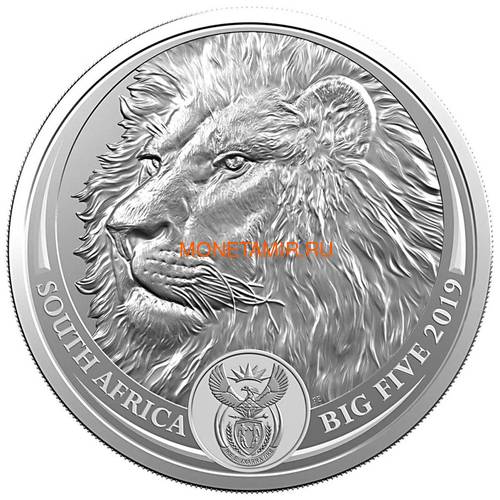 Южная Африка 5 рандов 2019 Лев Большая Африканская Пятерка (South Africa 5R 2019 Lion Big Five 1oz Silver Coin) Блистер.Арт.65 (фото)