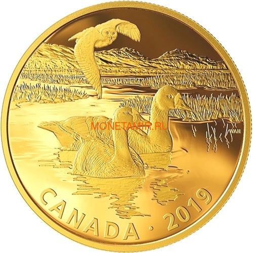  30  2019         (Canada 30$ 2019 Predator and Prey Snowy Owl and Goose 2 oz Gold Plated Silver Coin)..65 ()