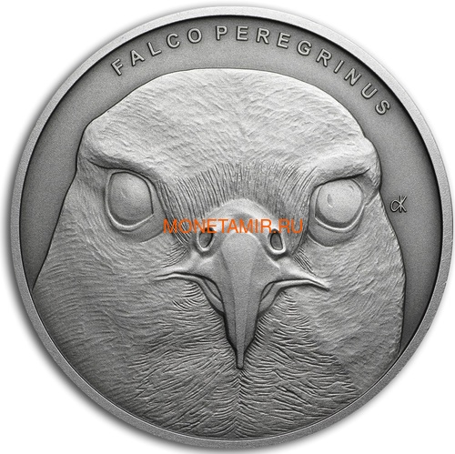 Ниуэ 1 доллар 2019 Сокол Сапсан Животные Чемпионы (Niue 1$ 2019 Peregrine Falcon Animal Champions 1 oz Silver Coin) Буклет.Арт.67 (фото)