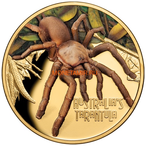 Ниуэ 100 долларов 2020 Тарантул Паук серия Смертельно Опасные (Niue 2020 $100 Tarantula Deadly and Dangerous 1oz Gold Proof Coin)Арт.88 (фото)