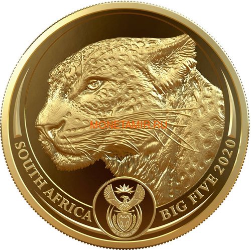 Южная Африка 50 рандов 2020 Леопард Большая Африканская Пятерка (South Africa 50 Rand 2020 Leopard Big Five 1oz Gold Coin).Арт.92 (фото)