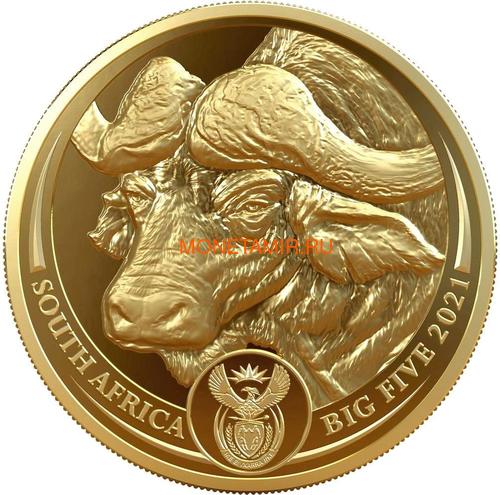Южная Африка 50 рандов 2021 Буйвол Большая Африканская Пятерка (South Africa 50 Rand 2021 Buffalo Big Five 1oz Gold Coin).Арт.92 (фото)