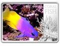 Ниуэ 1 доллар 2013. «Королевская Грамма» серия «Тропические коралловые рыбы».Арт.000322246466