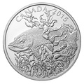 Канада 20 долларов 2015.Североамериканская спортивная рыбалка - Щука.