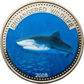  1  2008.  (Tiger Shark)    ..60