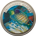  1  2008.    (Regal Angelfish)    ..60