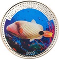 1  2009.   (Orange-lined Triggerfish)    ..60