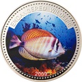  1  2009.  (Sailfin Tang)    ..60