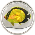 10  2005.-(Chaetodon austriacus) ()..60