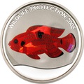 Конго 10 франков 2005.Рыба - Цыклида (призма).Арт.60