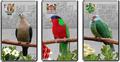 Ниуэ Фиджи Острова Питкэрн 3х2 доллара 2013.Голубь (Pacific Pigeon) Попугай (Collard Lory) Голубь (Henderson Island Fruit Dove) - Птицы Тихоокеанских островов.Арт.000813246446/60