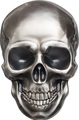  5  2016  (Palau 5$ 2016 Skull 1 oz Silver Coin)..100