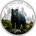 Канада 20 долларов 2017.Медведь серия Величественные животные.Арт.60