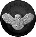 Канада 20 долларов 2017 Сова – Ночная природа (Canada 20C$ 2017 Nocturnal by Nature Barn Owl).Арт.000487853779/60
