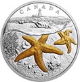 Канада 20 долларов 207 Атлантическая морская звезда Маяк (Canada 20C$ 2017 From Sea To Sea Atlantic Starfish).Арт.60