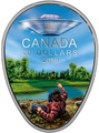  20  2018   -   (Canada 20C$ 2018 The Falcon Lake Incident UFO Glow-in-the-Dark Silver Coin)..000569156255/64