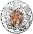 Канада 50 долларов 2019 Шмель Цветок Роза (Canada 50$ 2019 Bumble Bee and the Bloom Silver Coin 5oz).Арт.69