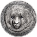 Монголия 500 Тугриков 2019 Гобийский Бурый Медведь Охрана Дикой Природы (Mongolia 500T 2019 Mongolian Gobi Bear Wildlife Protection 1oz Silver Coin).Арт.67