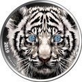 Камерун 1000 франков 2019 Тигр Бриллиант (Cameroon 1000 Francs 2019 Diamond Black Panther 1Oz Silver Coin).Арт.65