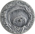 Ниуэ 1 доллар 2019 Лунный Кратер Коперник Метеорит NWA 8609 Кратеры Вселенной (Niue 1$ 2019 Copernicus Moon Meteorite NWA 8609 Universal Craters 1Oz Silver Coin).Арт.000792257849/65