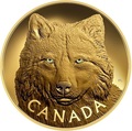 Канада 2500 долларов 2017 Лесной Волк Килограмм ( Canada 2500$ 2017 In The Eyes of a Timber Wolf Kilo Gold Coin ).Арт.92