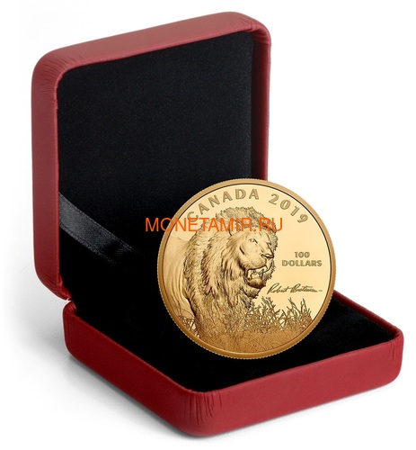  100  2019     (Canada 100$ 2019 Robert Bateman Into The Light Lion 10 oz Silver Coin Gold Plating)..65 (,  3)