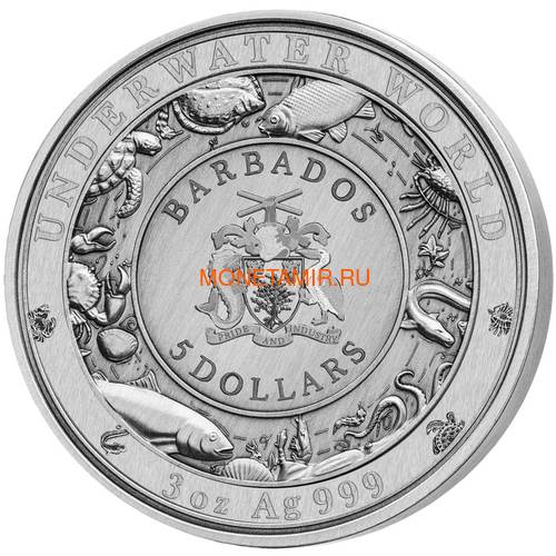  5  2020     (Barbados 5$ 2020 Spotted Seal Underwater World 3oz Silver)..65 (,  2)
