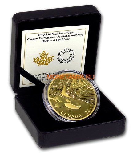  30  2019        (Canada 30$ 2019 Predator and Prey Orca and Sea Lions 2 oz Gold Plated Silver Coin)..65 (,  2)