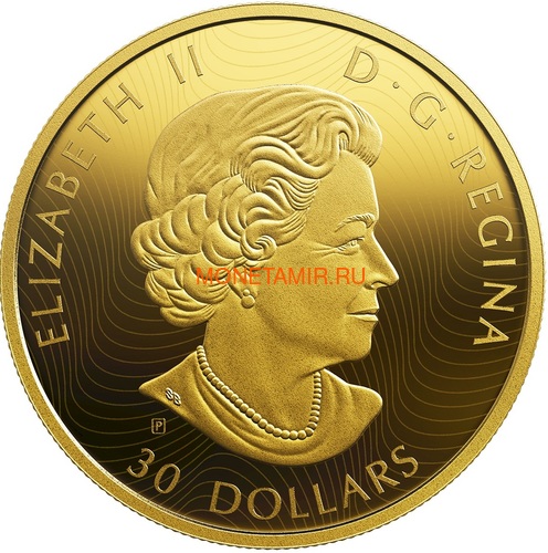  30  2019        (Canada 30$ 2019 Predator and Prey Orca and Sea Lions 2 oz Gold Plated Silver Coin)..65 (,  1)