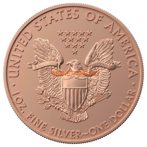    1  2019    (2019 USA 1$ Liberty Space Rocket 1oz Silver Coin)..65 (,  3)