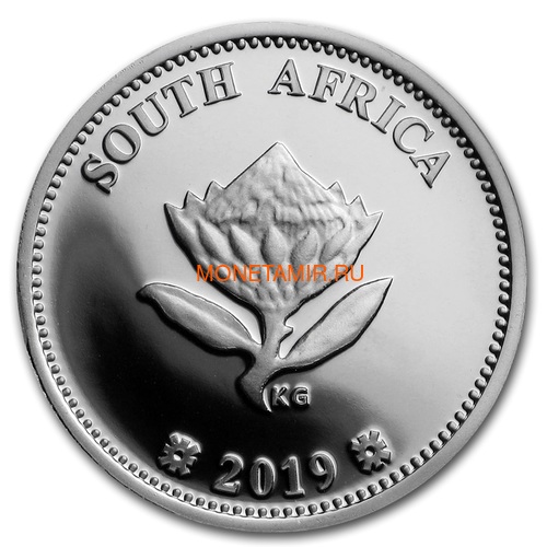   2  + 2,5  2019  11     2  (2019 South Africa R2 and 2,5c Inventions Polymer Putty Moon Landing Silver Proof Set)..000555857599/75 (,  5)