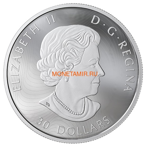  30  2019         (Canada 30$ 2019 Majestic Birds in Motion Great Horned Owls 2 oz Silver Hologram Coin)..65 (,  3)