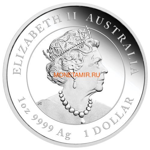  1  2020     (Australia 1$ 2020 Year of the Rat Lunar Proof)..000360957536/65 (,  1)