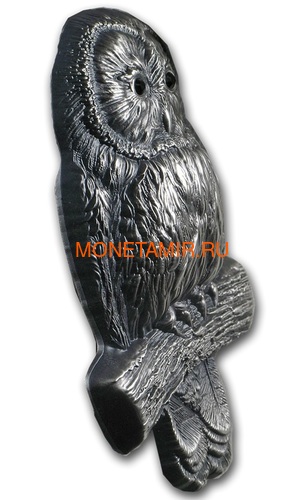  1000  2019    (Mongolia 1000T 2019 Ural Owl 3D 2 oz Silver Coin)..65 (,  1)