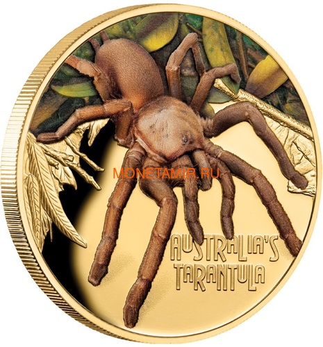  100  2020      (Niue 2020 $100 Tarantula Deadly and Dangerous 1oz Gold Proof Coin).88 (,  1)