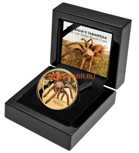  100  2020      (Niue 2020 $100 Tarantula Deadly and Dangerous 1oz Gold Proof Coin).88 (,  3)