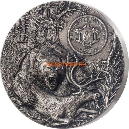    - 5000  2020    (Ivory Coast 5000FCFA 2020 Grizzly Predators 3oz Antique Finish Silver Coin)..92 (,  2)