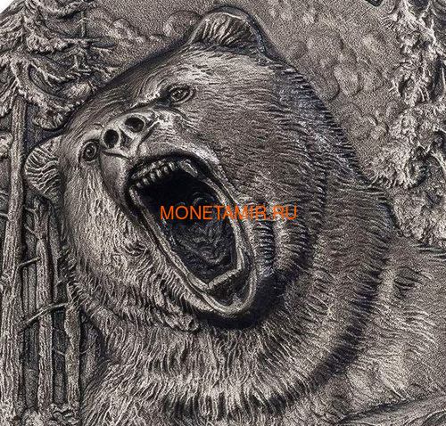    - 5000  2020    (Ivory Coast 5000FCFA 2020 Grizzly Predators 3oz Antique Finish Silver Coin)..92 (,  1)