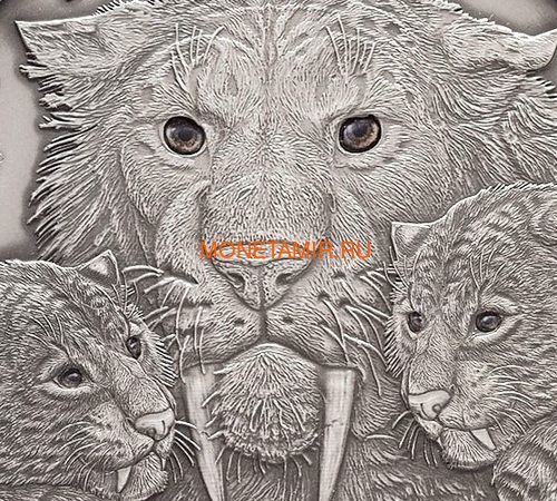   10000  2013       (Burkina Faso 10000 Francs CFA 2013 The Smilodon Family Real Eye Effect High Relief kilo Silver Coin)..011629649793/60 (,  1)