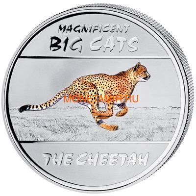 4x30  2011        4  (Congo 4x30 Francs 2011 Big Cats Silver Coin Set)..000739737383 (,  4)