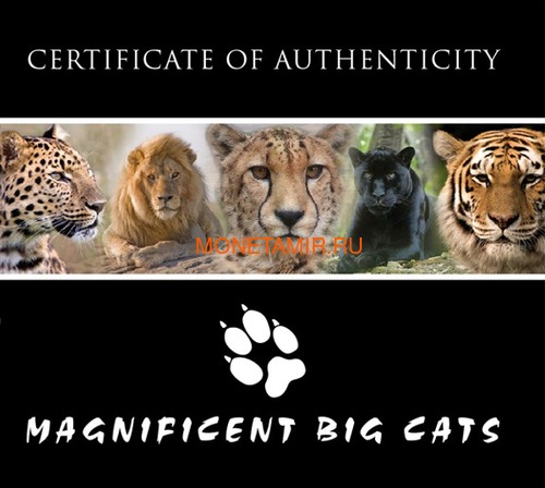  4x30  2011        4  (Congo 4x30 Francs 2011 Big Cats Silver Coin Set)..000739737383 (,  11)