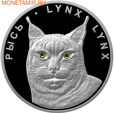   &quot;&quot;. : 111500019920 (,  3)